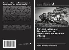 Buchcover von Turismo interno en Mozambique: la importancia del turismo interno