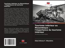 Capa do livro de Tourisme intérieur au Mozambique : l'importance du tourisme intérieur 