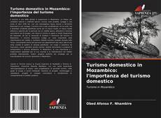 Buchcover von Turismo domestico in Mozambico: l'importanza del turismo domestico