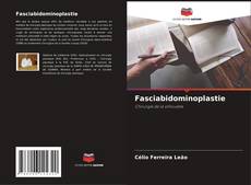 Buchcover von Fasciabidominoplastie