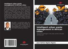 Buchcover von Intelligent urban waste management in African cities