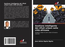 Bookcover of Gestione intelligente dei rifiuti urbani nelle città africane