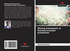 Buchcover von Mining framework in Guinea:Investor protection