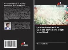 Quadro minerario in Guinea: protezione degli investitori kitap kapağı
