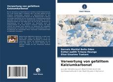 Capa do livro de Verwertung von gefälltem Kalziumkarbonat 