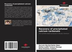 Recovery of precipitated calcium carbonate kitap kapağı