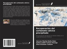 Buchcover von Recuperación del carbonato cálcico precipitado