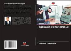 SOCIOLOGIE ÉCONOMIQUE的封面