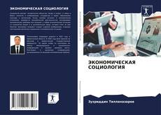 ЭКОНОМИЧЕСКАЯ СОЦИОЛОГИЯ kitap kapağı