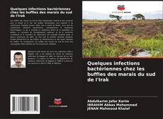Copertina di Quelques infections bactériennes chez les buffles des marais du sud de l'Irak