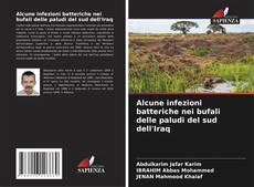 Bookcover of Alcune infezioni batteriche nei bufali delle paludi del sud dell'Iraq