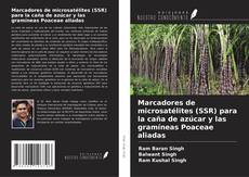 Capa do livro de Marcadores de microsatélites (SSR) para la caña de azúcar y las gramíneas Poaceae aliadas 