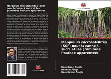Borítókép a  Marqueurs microsatellites (SSR) pour la canne à sucre et les graminées Poaceae apparentées - hoz