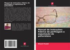 Bookcover of Manual de instruções: Fábrica de perfilagem e espumação de poliuretano