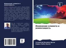 Изменение климата и изменчивость kitap kapağı