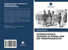 INTERNATIONALE GRENZEN IN AFRIKA UND DIE PANAFRIKANISCHE的封面