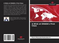 A Wink at OHADA's First Class kitap kapağı