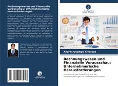 Buchcover von Rechnungswesen und Finanzielle Vorausschau: Unternehmerische Herausforderungen
