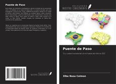 Puente de Paso kitap kapağı