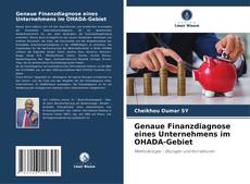 Genaue Finanzdiagnose eines Unternehmens im OHADA-Gebiet的封面