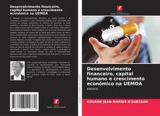 Desenvolvimento financeiro, capital humano e crescimento económico na UEMOA kitap kapağı