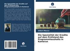 Die Spezialität der Kredite auf dem Prüfstand des Programmhaushalts in Kamerun的封面