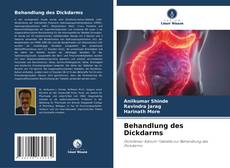 Portada del libro de Behandlung des Dickdarms