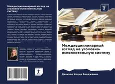 Buchcover von Междисциплинарный взгляд на уголовно-исполнительную систему
