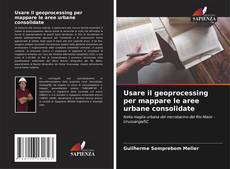 Usare il geoprocessing per mappare le aree urbane consolidate的封面