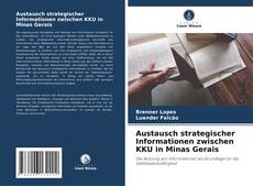 Austausch strategischer Informationen zwischen KKU in Minas Gerais的封面