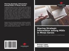 Buchcover von Sharing Strategic Information among MSEs in Minas Gerais