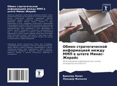 Bookcover of Обмен стратегической информацией между ММП в штате Минас-Жерайс