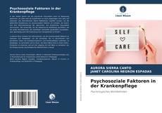 Psychosoziale Faktoren in der Krankenpflege的封面