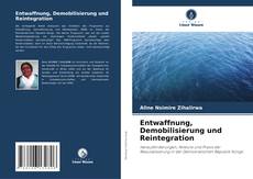 Entwaffnung, Demobilisierung und Reintegration的封面