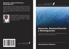 Desarme, Desmovilización y Reintegración kitap kapağı