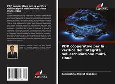 PDP cooperativo per la verifica dell'integrità nell'archiviazione multi-cloud kitap kapağı