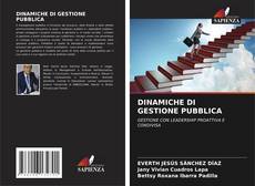 DINAMICHE DI GESTIONE PUBBLICA kitap kapağı