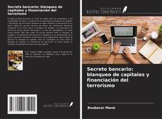 Bookcover of Secreto bancario: blanqueo de capitales y financiación del terrorismo