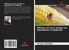 Bookcover of Efficacy of virus strains on Spodoptera frugiperda