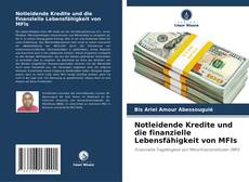 Notleidende Kredite und die finanzielle Lebensfähigkeit von MFIs的封面