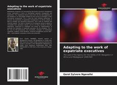 Adapting to the work of expatriate executives kitap kapağı