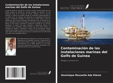 Capa do livro de Contaminación de las instalaciones marinas del Golfo de Guinea 