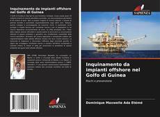Inquinamento da impianti offshore nel Golfo di Guinea的封面