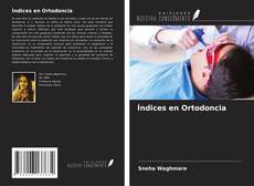 Capa do livro de Índices en Ortodoncia 