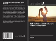 Bookcover of Estimulación cortical para la lesión medular
