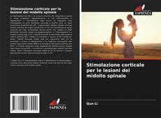 Bookcover of Stimolazione corticale per le lesioni del midollo spinale