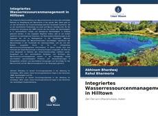 Copertina di Integriertes Wasserressourcenmanagement in Hilltown