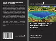 Buchcover von Gestión integrada de los recursos hídricos en Hilltown