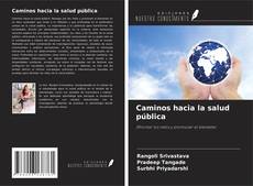 Bookcover of Caminos hacia la salud pública
