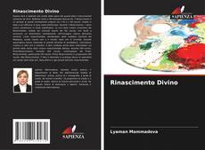 Rinascimento Divino的封面